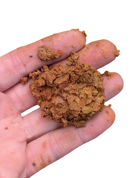 Tactile Earth